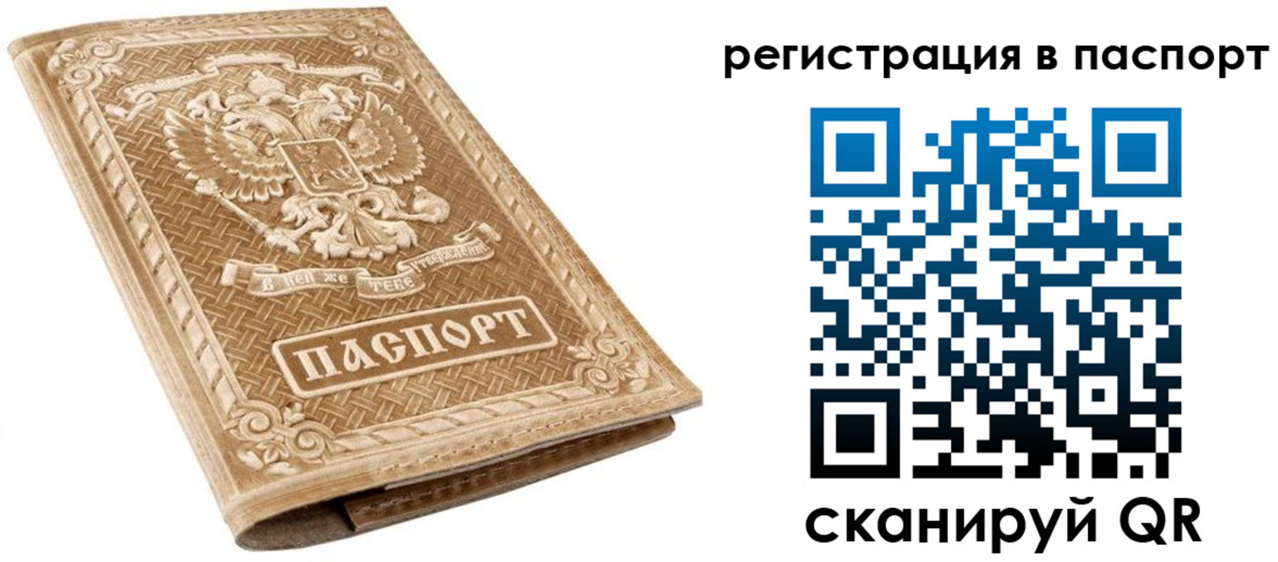 прописка в Александровске